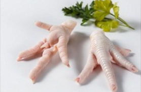 Processed Chicken feet Grade A